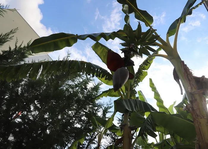 Secondo Binario Bed & Breakfast